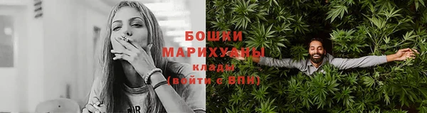 стаф Коряжма