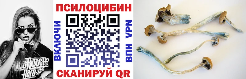Купить где  Емва  Псилоцибиновые грибы ЛСД 